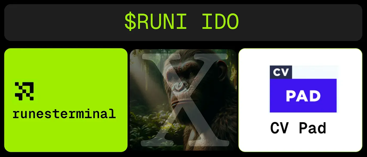RunesTerminal IDO on CV Pad