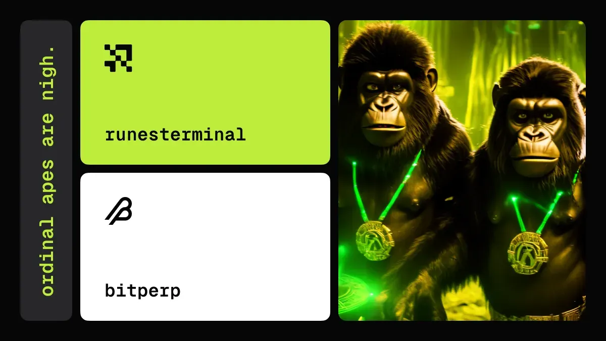 RunesTerminal x BitPerp